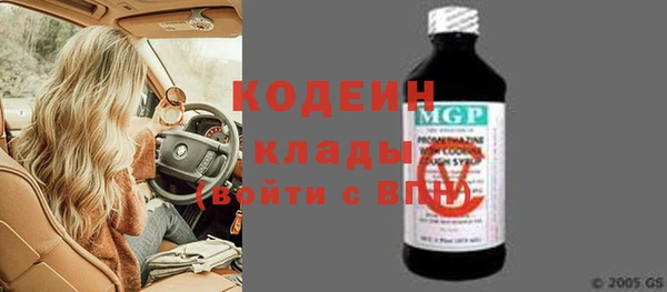 амф Ладушкин