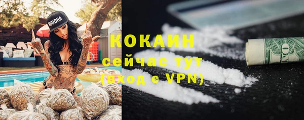 амф Ладушкин