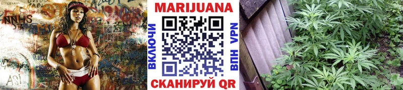 Конопля планчик Лагань